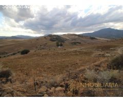 EXTENSA FINCA CON RUINA Y POSIBILIDADES DE CONSTRUCION