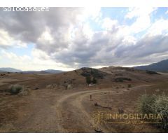 EXTENSA FINCA CON RUINA Y POSIBILIDADES DE CONSTRUCION