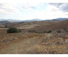 EXTENSA FINCA CON RUINA Y POSIBILIDADES DE CONSTRUCION