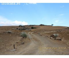 EXTENSA FINCA CON RUINA Y POSIBILIDADES DE CONSTRUCION