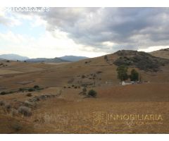 EXTENSA FINCA CON RUINA Y POSIBILIDADES DE CONSTRUCION