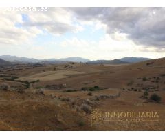 EXTENSA FINCA CON RUINA Y POSIBILIDADES DE CONSTRUCION