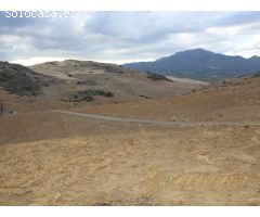 EXTENSA FINCA CON RUINA Y POSIBILIDADES DE CONSTRUCION