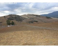 EXTENSA FINCA CON RUINA Y POSIBILIDADES DE CONSTRUCION