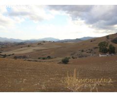 EXTENSA FINCA CON RUINA Y POSIBILIDADES DE CONSTRUCION