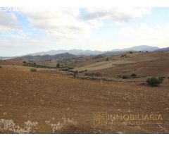EXTENSA FINCA CON RUINA Y POSIBILIDADES DE CONSTRUCION
