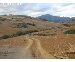 EXTENSA FINCA CON RUINA Y POSIBILIDADES DE CONSTRUCION