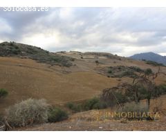 EXTENSA FINCA CON RUINA Y POSIBILIDADES DE CONSTRUCION
