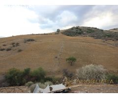 EXTENSA FINCA CON RUINA Y POSIBILIDADES DE CONSTRUCION