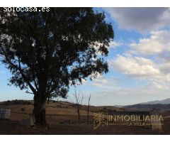 EXTENSA FINCA CON RUINA Y POSIBILIDADES DE CONSTRUCION