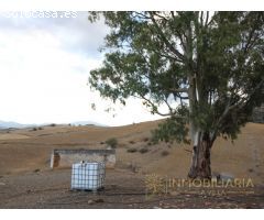 EXTENSA FINCA CON RUINA Y POSIBILIDADES DE CONSTRUCION