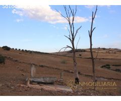 EXTENSA FINCA CON RUINA Y POSIBILIDADES DE CONSTRUCION