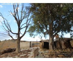 EXTENSA FINCA CON RUINA Y POSIBILIDADES DE CONSTRUCION
