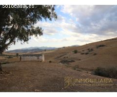 EXTENSA FINCA CON RUINA Y POSIBILIDADES DE CONSTRUCION