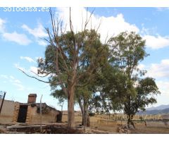 EXTENSA FINCA CON RUINA Y POSIBILIDADES DE CONSTRUCION