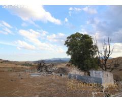 EXTENSA FINCA CON RUINA Y POSIBILIDADES DE CONSTRUCION