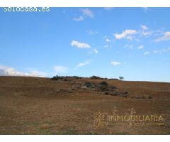 EXTENSA FINCA CON RUINA Y POSIBILIDADES DE CONSTRUCION