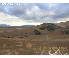 EXTENSA FINCA CON RUINA Y POSIBILIDADES DE CONSTRUCION