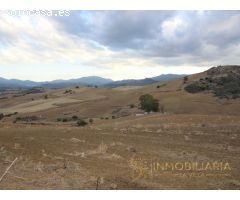 EXTENSA FINCA CON RUINA Y POSIBILIDADES DE CONSTRUCION