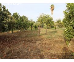 Se vende Terreno en Cortijo Benitez