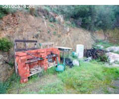 Finca rústica con 30.000 m² de terreno y plantación de aguacates en Coín