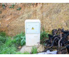 Finca rústica con 30.000 m² de terreno y plantación de aguacates en Coín