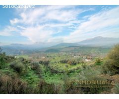 Finca rústica con 30.000 m² de terreno y plantación de aguacates en Coín