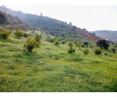 Finca rústica con 30.000 m² de terreno y plantación de aguacates en Coín