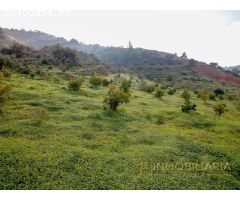 Finca rústica con 30.000 m² de terreno y plantación de aguacates en Coín