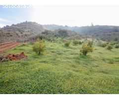 Finca rústica con 30.000 m² de terreno y plantación de aguacates en Coín