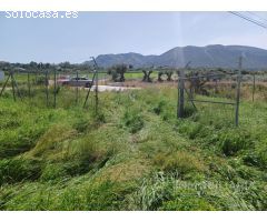 FINCA A PIE DE CARRETERA , INMEJORABLES CONDICIONES Y LLANA.