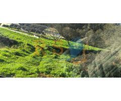 Tu Refugio Perfecto Casa de Piedra con Potencial y Comodidades