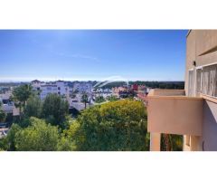 Descubre la serenidad y comodidad en nuestros exclusivos apartamentos en la