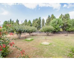 Preciosa casa de campo con más de 2000 m2 en La Argentina