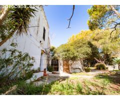 Finca rústica a pocos metros del centro de Ciutadella