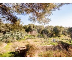 Finca rústica a pocos metros del centro de Ciutadella