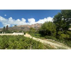 PARCELA MIXTA MONTGO VALLS
