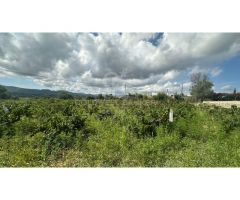 PARCELA MIXTA MONTGO VALLS