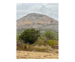 PARCELA AGRARIA DE 4.400m2 CON NARANJOS.