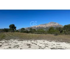 Parcela Rústica de 11.000m2 con vistas panorámicas al mar y al valle en Jávea