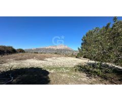 Parcela Rústica de 11.000m2 con vistas panorámicas al mar y al valle en Jávea