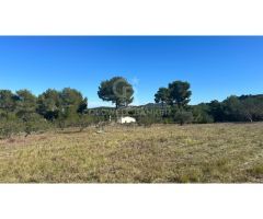 Parcela Rústica de 11.000m2 con vistas panorámicas al mar y al valle en Jávea