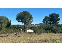 Parcela Rústica de 11.000m2 con vistas panorámicas al mar y al valle en Jávea