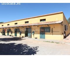 FINCA ECUESTRE DE ENSUEÑO EN BETERA, VALENCIA.