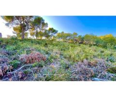 SOLAR en Can Girona-