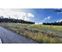 Finca en venta en Sarandón ideal para plantación de viñedo, ayuntamiento de
