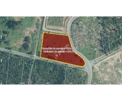 Terreno en venta en Sarandón ideal para plantación de viñedo, ayuntamiento de
