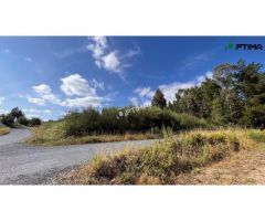 Terreno en venta en Sarandón ideal para plantación de viñedo, ayuntamiento de