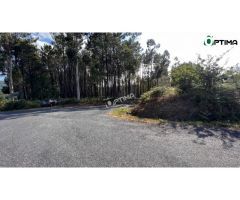 Terreno en venta en Sarandón ideal para plantación de viñedo, ayuntamiento de