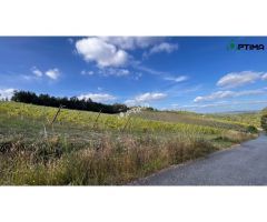 Terreno en venta en Sarandón ideal para plantación de viñedo, ayuntamiento de